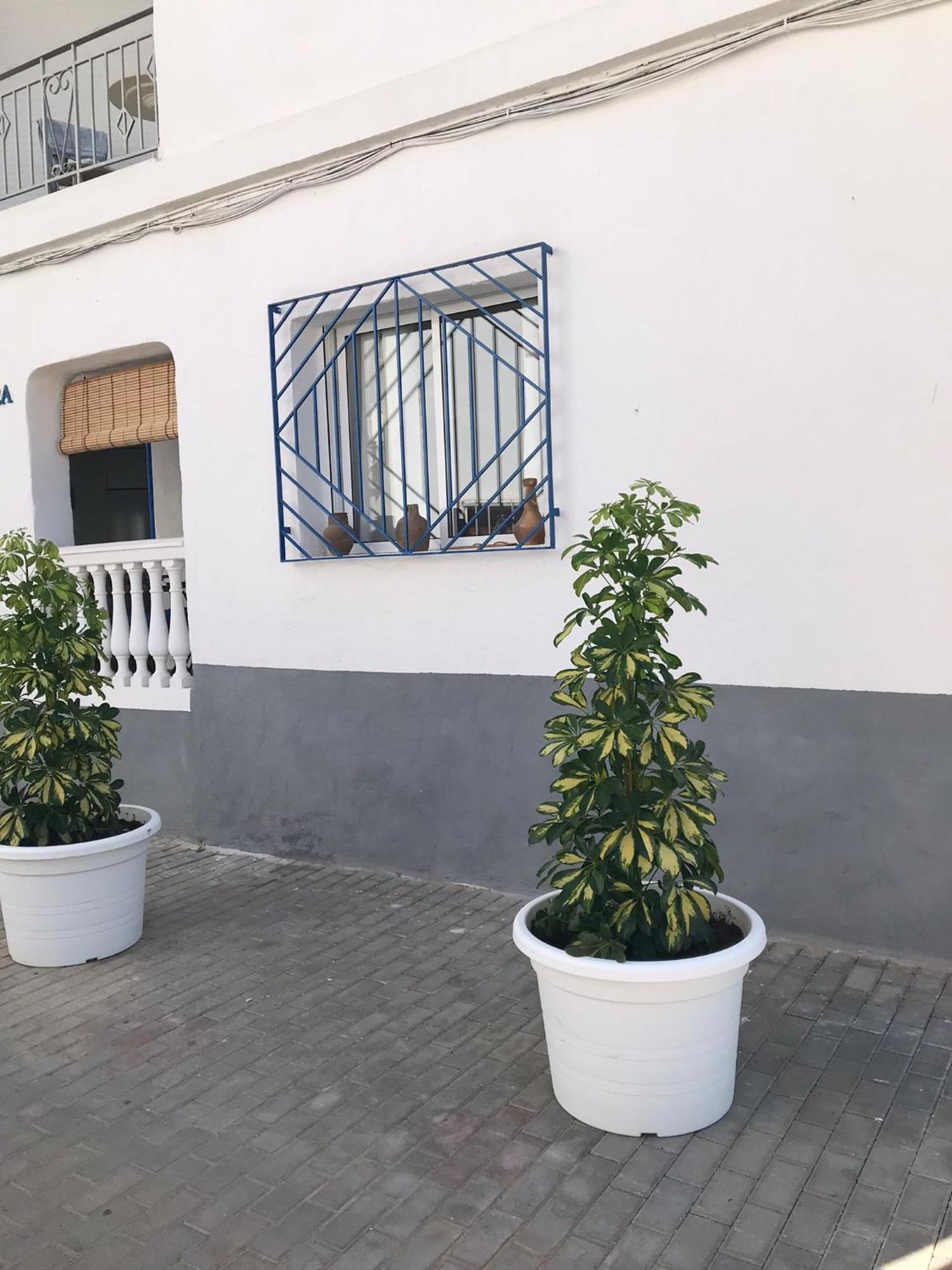 Apartamentos Lolitalola Holidays ซาโลเบรญา ภายนอก รูปภาพ