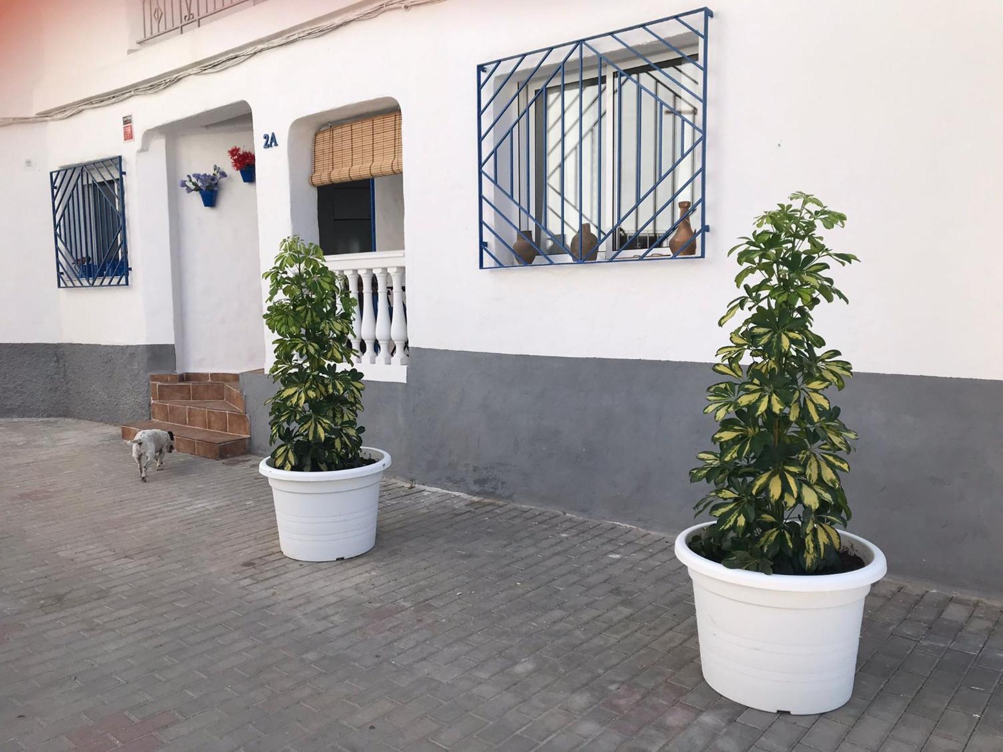 Apartamentos Lolitalola Holidays ซาโลเบรญา ภายนอก รูปภาพ